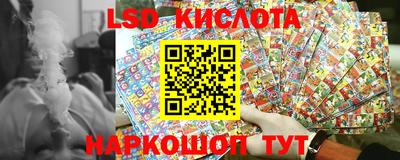 2c-b Кингисепп
