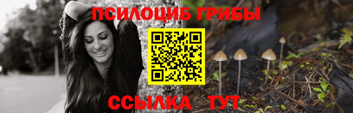 Хабаровск  Псилоцибиновые грибы Psilocybe  Вход с VPN 