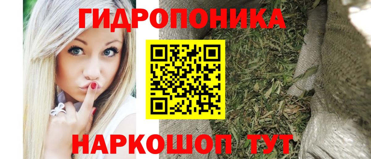 Канабис OG Kush Хабаровск